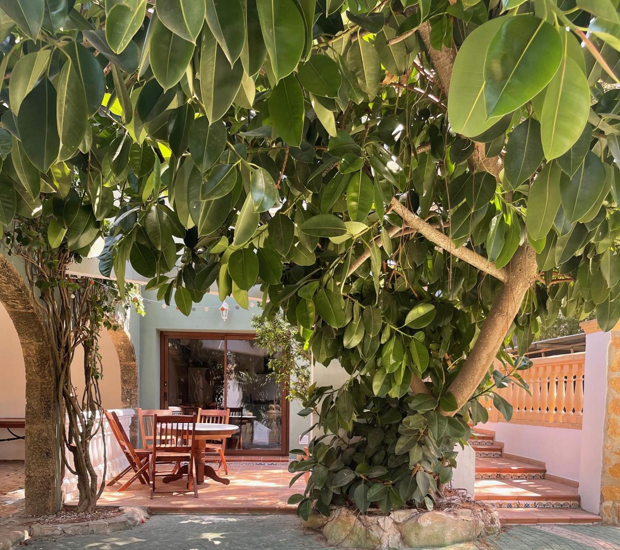 La Posada Paradiso Jávea Екстериор снимка